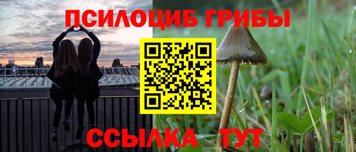 Псилоцибиновые грибы GOLDEN TEACHER Кызыл