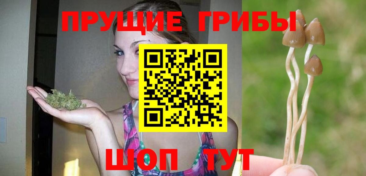 Галлюциногенные грибы Magic Shrooms  Вход с VPN  продажа наркотиков  Галлюциногенные грибы MAGIC MUSHROOMS  Кызыл 